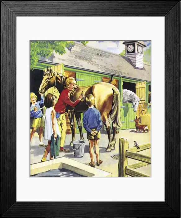 Framed Print : Picture No. 11121636