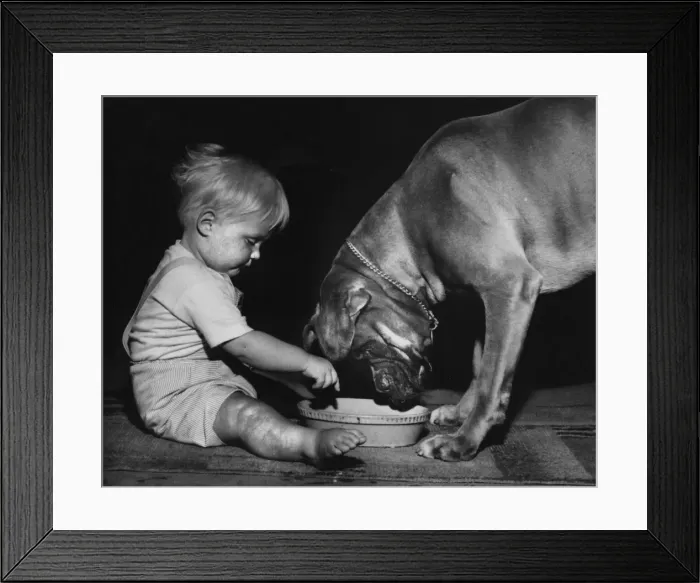 Framed Print : Toddler with dog and bowl Framed Print : Toddler with dog and bowl