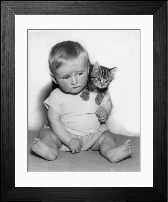 Framed Print : Baby with tabby kitten Framed Print : Baby with tabby kitten