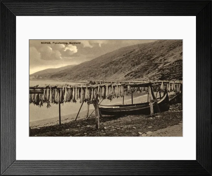 Framed Print : Drying Fish on wooden racks - Nordland, Northern Norway Framed Print : Drying Fish on wooden racks - Nordland, Northern Norway