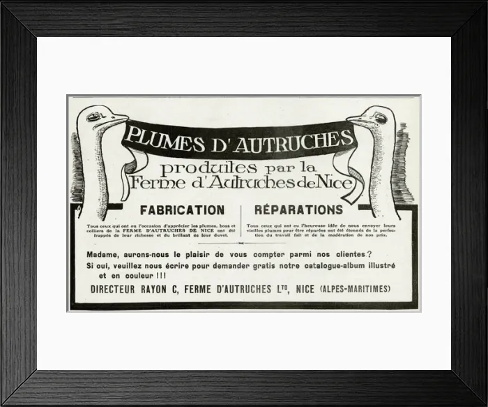 Framed Print : Advert for Plumes D autruches 1912