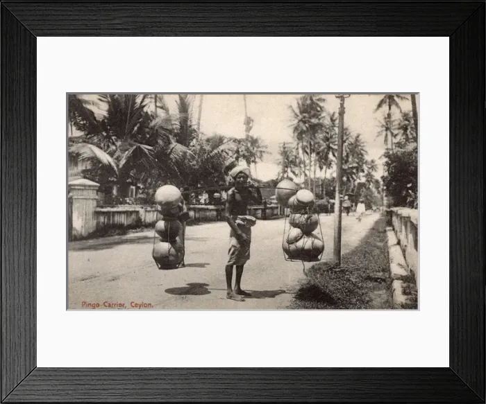 Framed Print : Street vendor with fruit and vegetables, Ceylon (Sri Lanka) Framed Print : Street vendor with fruit and vegetables, Ceylon (Sri Lanka)