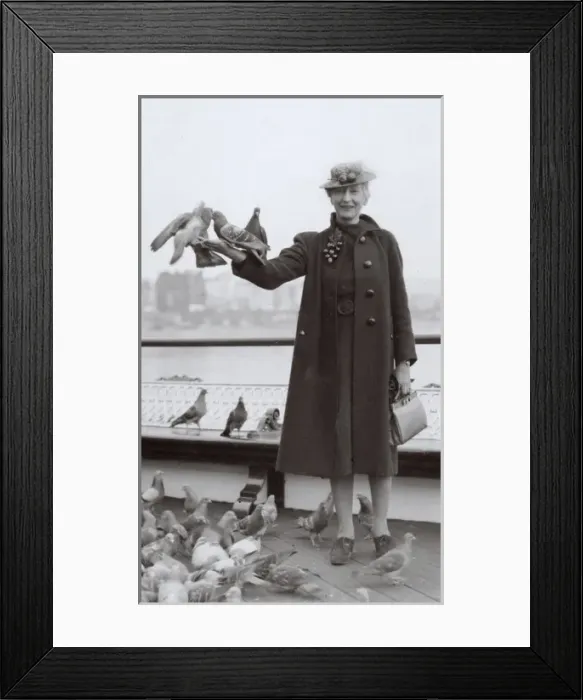 Framed Print : Woman at seaside with pigeons Framed Print : Woman at seaside with pigeons