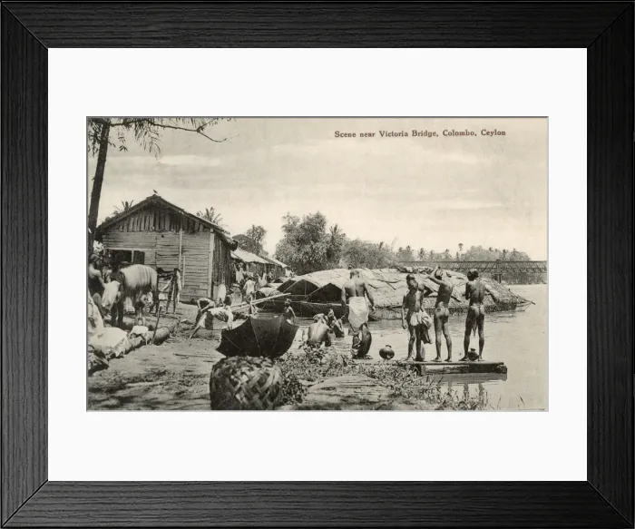 Framed Print : Scene near Victoria Bridge, Colombo, Ceylon (Sri Lanka) Framed Print : Scene near Victoria Bridge, Colombo, Ceylon (Sri Lanka)