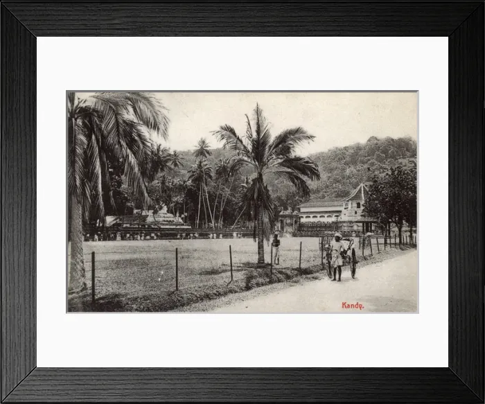 Framed Print : Scene with rickshaw, Kandy, Ceylon (Sri Lanka) Framed Print : Scene with rickshaw, Kandy, Ceylon (Sri Lanka)