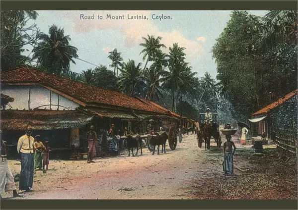 Road to Mount Lavinia, Ceylon (Sri Lanka)