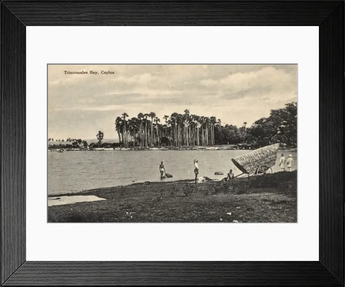 Framed Print : Trincomalee Bay, Ceylon (Sri Lanka) Framed Print : Trincomalee Bay, Ceylon (Sri Lanka)