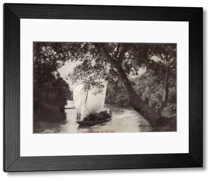 Framed Print : Padda barge in full sail, Ceylon (Sri Lanka) Framed Print : Padda barge in full sail, Ceylon (Sri Lanka)