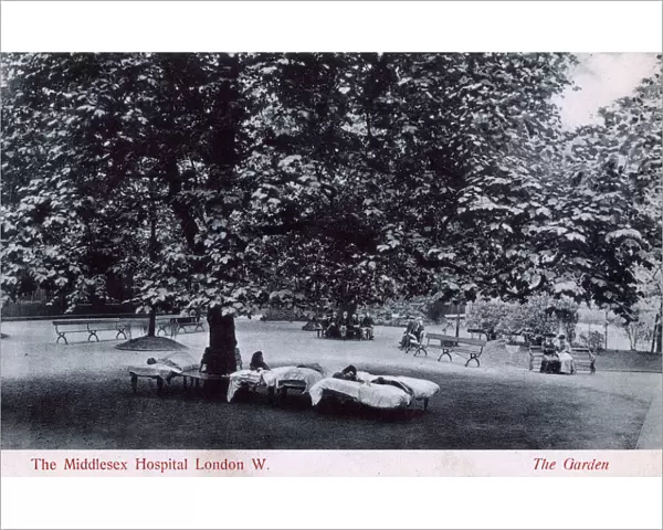 Garden of the Middlesex Hospital, Mortimer Street, London