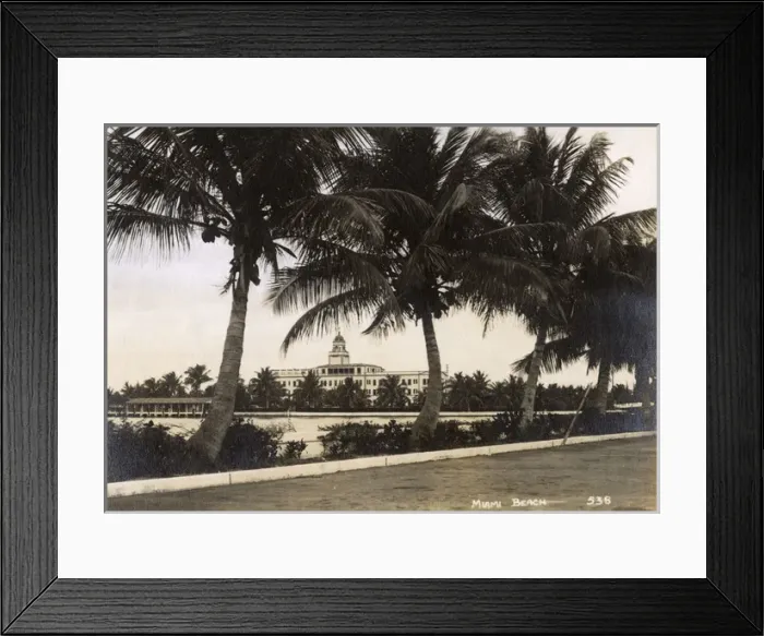 Framed Print : Miami Beach with palm trees, Florida, USA Framed Print : Miami Beach with palm trees, Florida, USA
