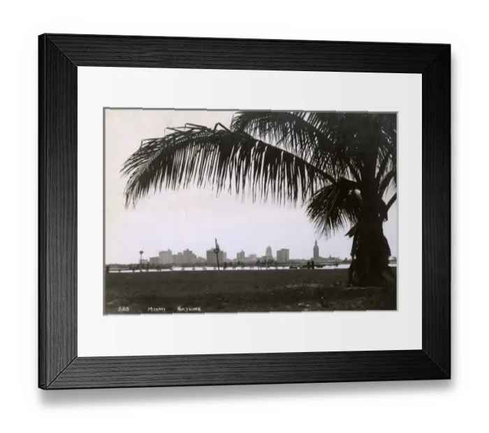 Framed Print : Miami skyline with palm tree, Florida, USA Framed Print : Miami skyline with palm tree, Florida, USA