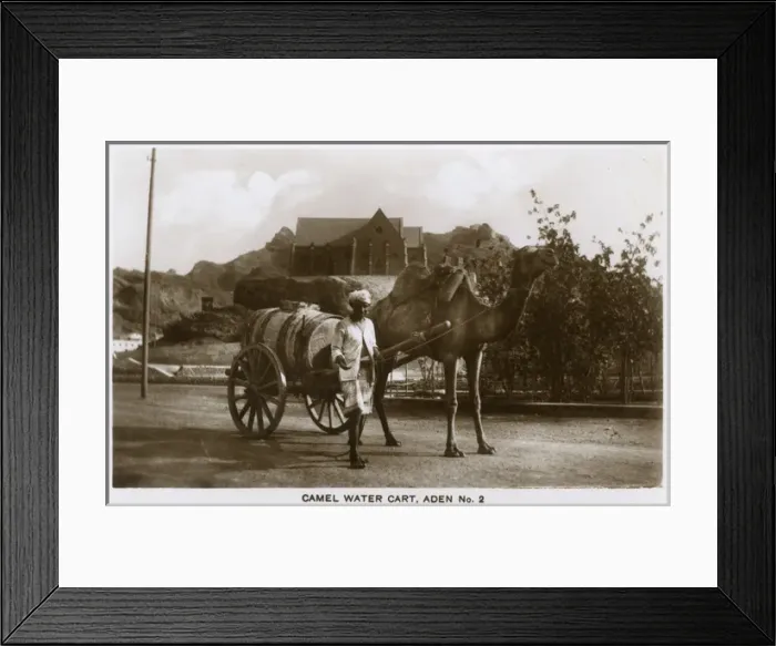 Framed Print : Camel-drawn water cart, Aden Framed Print : Camel-drawn water cart, Aden