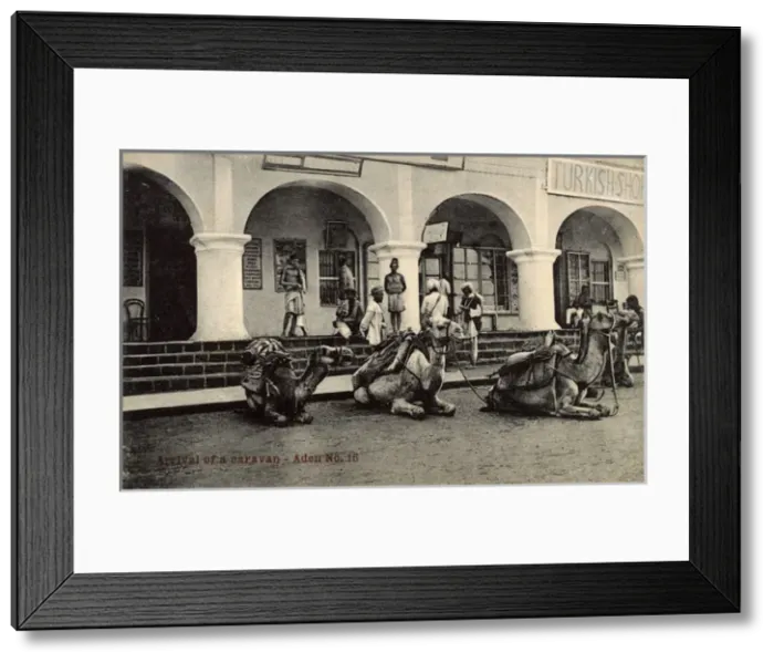 Framed Print : Camel caravan outside Hotel de l Europe, Aden Framed Print : Camel caravan outside Hotel de l Europe, Aden