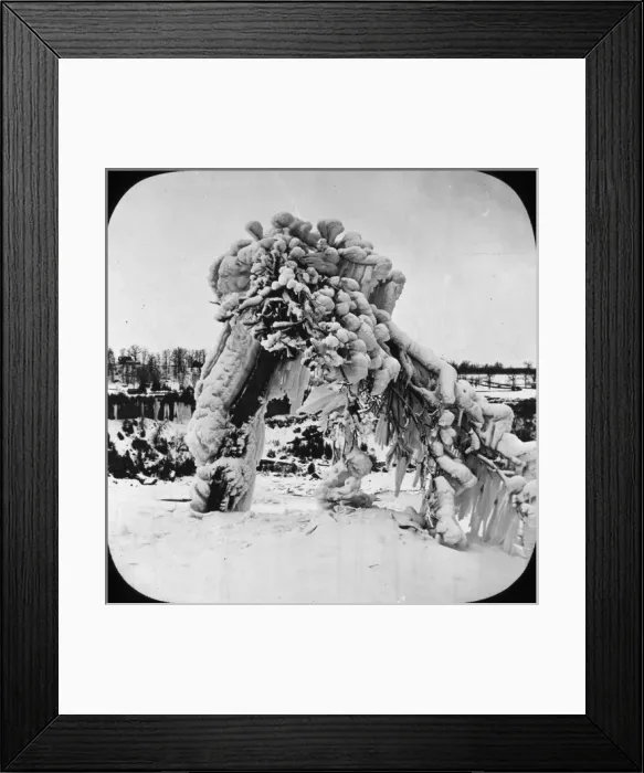 Framed Print : Frozen Trees - Prospect Park, Niagara, NY State, USA Framed Print : Frozen Trees - Prospect Park, Niagara, NY State, USA