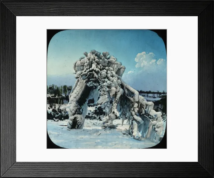 Framed Print : Frozen Trees - Prospect Park, Niagara, NY State, USA Framed Print : Frozen Trees - Prospect Park, Niagara, NY State, USA
