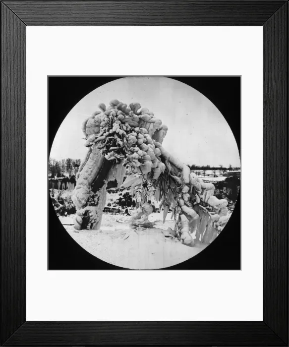 Framed Print : Frozen Trees - Prospect Park, Niagara, NY State, USA Framed Print : Frozen Trees - Prospect Park, Niagara, NY State, USA