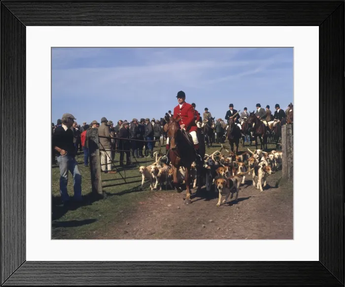 Framed Print : Devon and Somerset huntsmen and staghounds Framed Print : Devon and Somerset huntsmen and staghounds