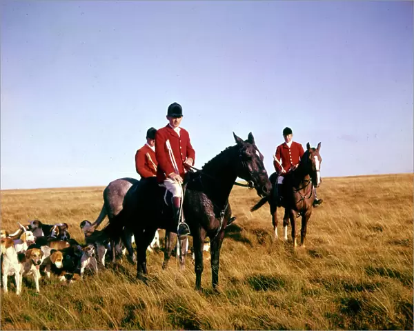 Three hunt members, horses and foxhounds, Somerset