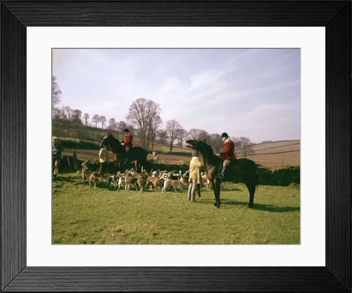 Framed Print : Silverton Foxhounds and two huntsmen, Devon Framed Print : Silverton Foxhounds and two huntsmen, Devon
