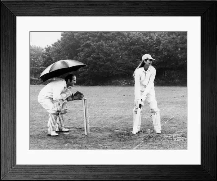 Framed Print : Charity cricket match Framed Print : Charity cricket match