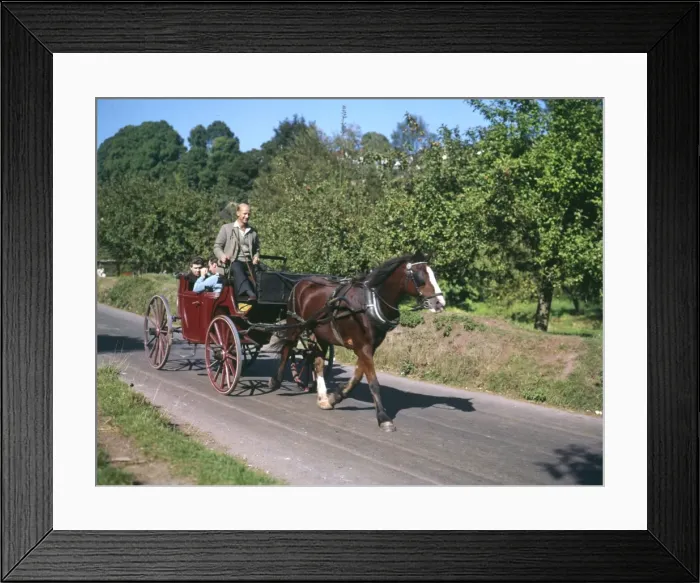Framed Print : Scene near Cockington, near Torquay, Devon Framed Print : Scene near Cockington, near Torquay, Devon