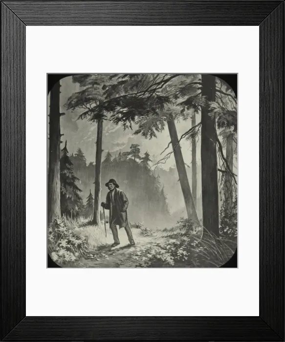 Framed Print : Lone African-American man strolling through the woods Framed Print : Lone African-American man strolling through the woods