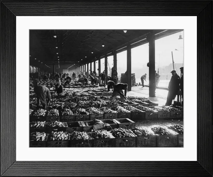 Framed Print : Scene in the harbour, Aberdeen, Scotland Framed Print : Scene in the harbour, Aberdeen, Scotland
