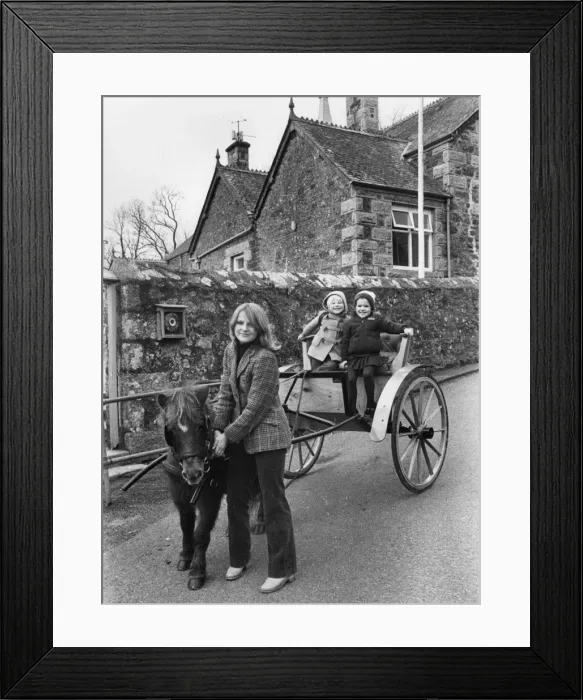 Framed Print : Mother taking children to school in pony and trap, Cornwall Framed Print : Mother taking children to school in pony and trap, Cornwall