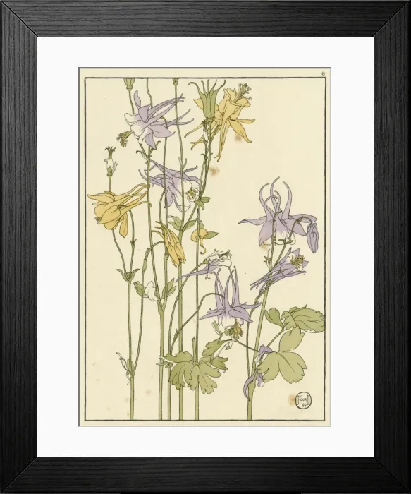 Framed Print : X. Decorative flower study by Jeannie Foord Framed Print : X. Decorative flower study by Jeannie Foord