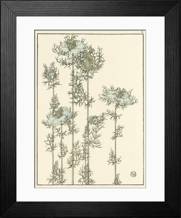 Framed Print : X. Decorative flower study by Jeannie Foord Framed Print : X. Decorative flower study by Jeannie Foord