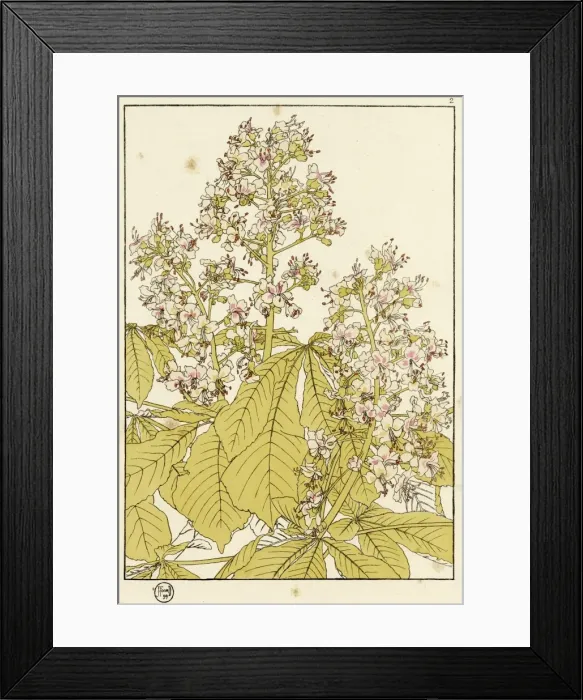 Framed Print : X. Decorative flower study by Jeannie Foord Framed Print : X. Decorative flower study by Jeannie Foord