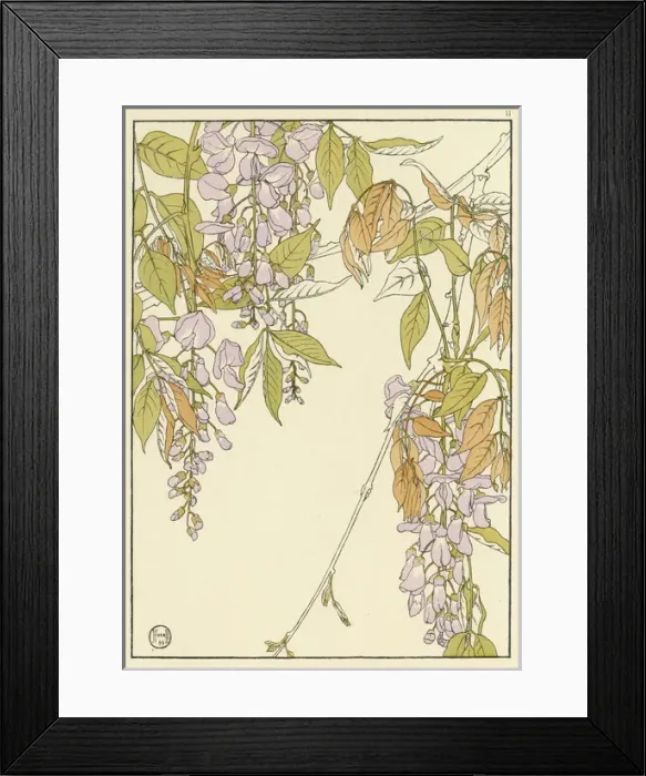 Framed Print : X. Decorative flower study by Jeannie Foord Framed Print : X. Decorative flower study by Jeannie Foord