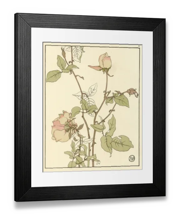 Framed Print : X. Decorative flower study by Jeannie Foord Framed Print : X. Decorative flower study by Jeannie Foord