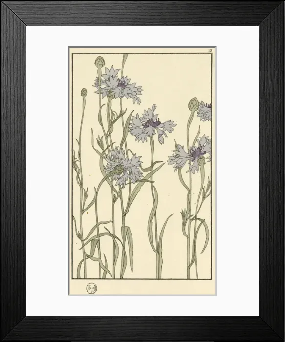 Framed Print : X. Decorative flower study by Jeannie Foord Framed Print : X. Decorative flower study by Jeannie Foord