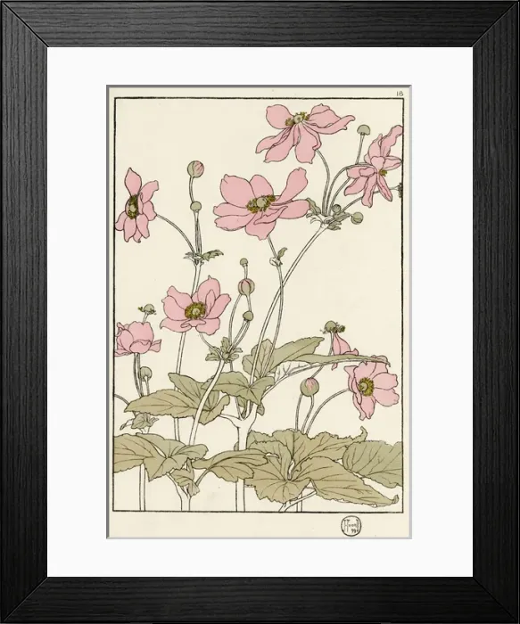 Framed Print : X. Decorative flower study by Jeannie Foord Framed Print : X. Decorative flower study by Jeannie Foord