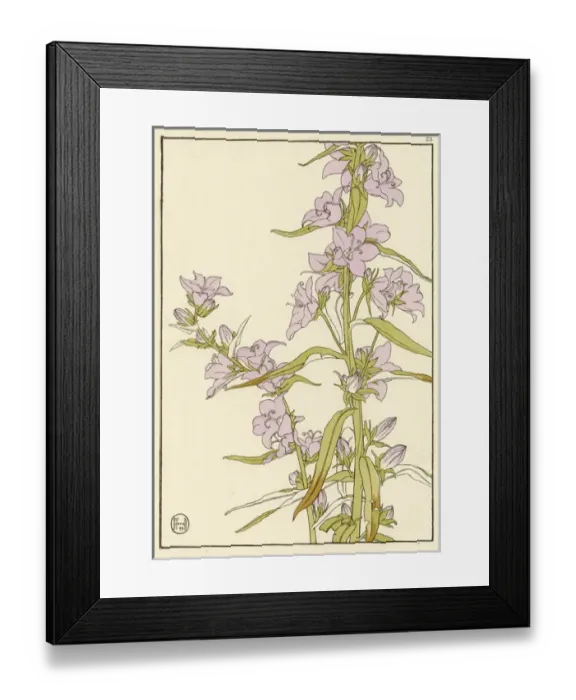 Framed Print : x. Decorative flower study by Jeannie Foord.. 1899 Framed Print : x. Decorative flower study by Jeannie Foord.. 1899