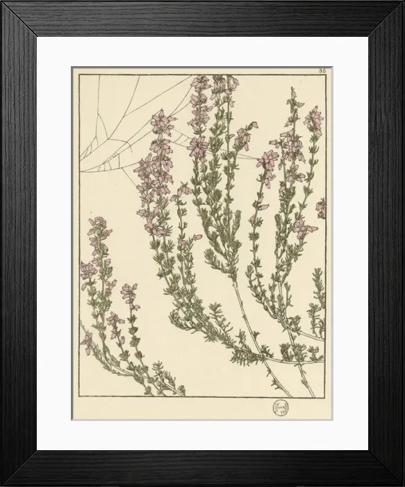 Framed Print : X. Decorative flower study by Jeannie Foord Framed Print : X. Decorative flower study by Jeannie Foord
