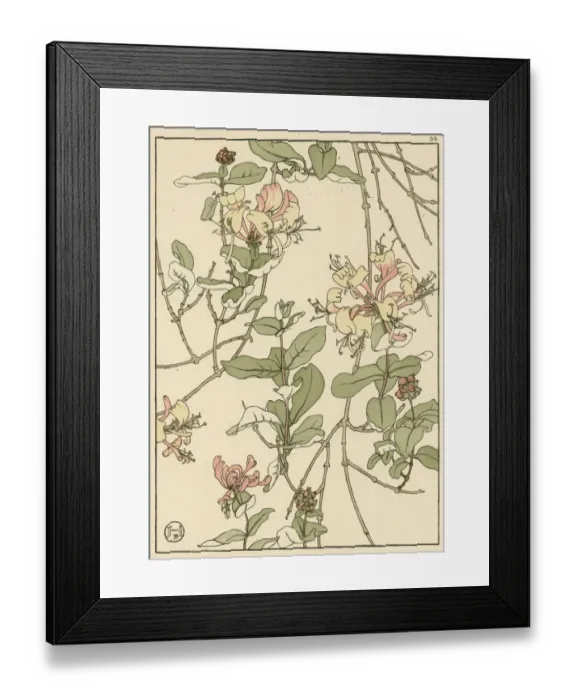 Framed Print : X. Decorative flower study by Jeannie Foord Framed Print : X. Decorative flower study by Jeannie Foord