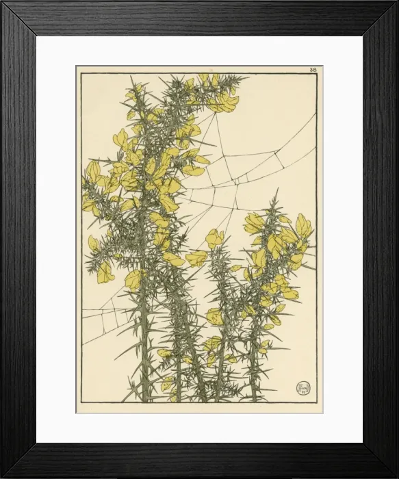 Framed Print : X. Decorative flower study by Jeannie Foord Framed Print : X. Decorative flower study by Jeannie Foord