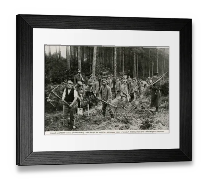Framed Print : German prisoners making a road in southern England 1917 Framed Print : German prisoners making a road in southern England 1917
