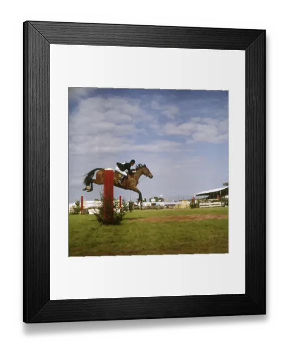Framed Print : Show jumping event, Devon County Show Framed Print : Show jumping event, Devon County Show