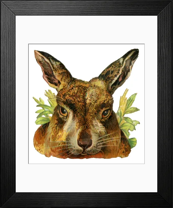 Framed Print : Victorian Scrap - Head of Hare Framed Print : Victorian Scrap - Head of Hare