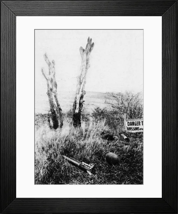 Framed Print : The Danger Tree Framed Print : The Danger Tree