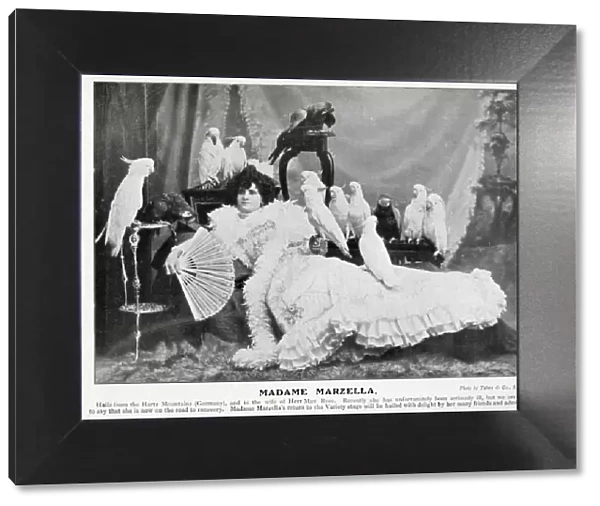 Madame Marzella with white cockatoos 1905