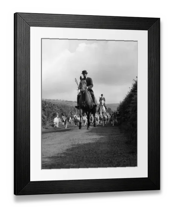 Framed Print : Devon and Somerset staghounds on a country lane Framed Print : Devon and Somerset staghounds on a country lane