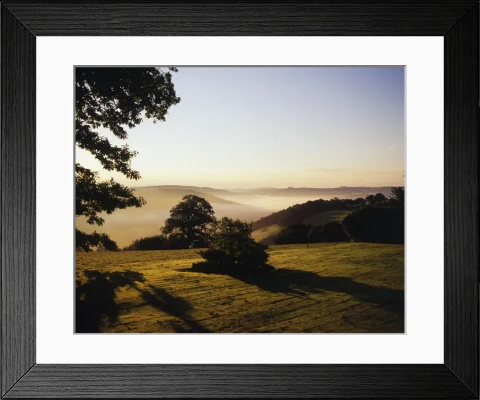 Framed Print : Early morning mist, Tamar Valley, Cornwall Framed Print : Early morning mist, Tamar Valley, Cornwall