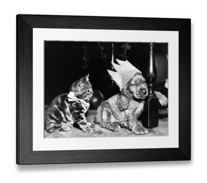 Framed Print : Susi - with kitten Framed Print : Susi - with kitten