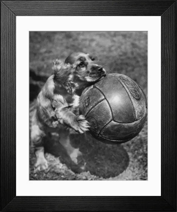 Framed Print : Susi - posing with a football Framed Print : Susi - posing with a football