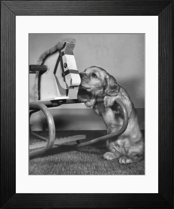 Framed Print : Susi - with hobby horse Framed Print : Susi - with hobby horse