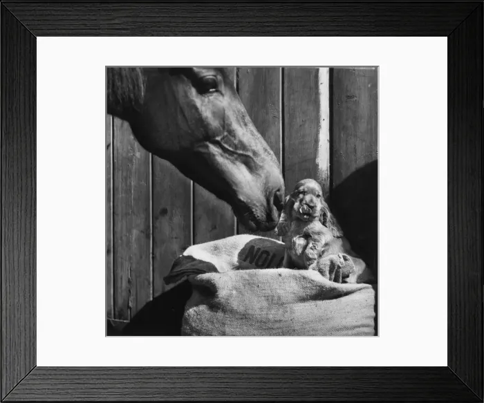 Framed Print : Susi - with horse Framed Print : Susi - with horse